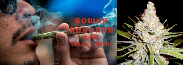 мдпв Тавда