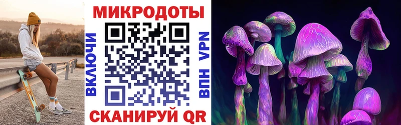 Галлюциногенные грибы Magic Shrooms  Муром 